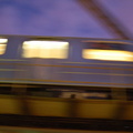 DSC_7450f.jpg