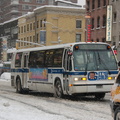 DSC_8027a.jpg