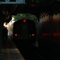 DSC_0476a.jpg
