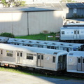 SDC10301a.jpg