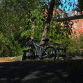 SDC10391a.jpg