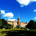 SDC10431a.jpg