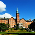SDC10433a.jpg