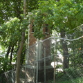 SDC10442-800.jpg