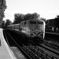 SDC10451a.jpg