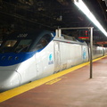 DSC_1132fa.jpg