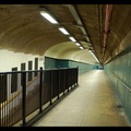 DSC_3704a.jpg