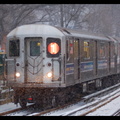 DSC_6049a.jpg
