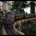 SDC11236a.jpg