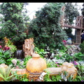 SDC11250a.jpg