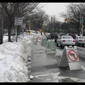 SDC11266a.jpg