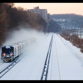 DSC_7262a.jpg
