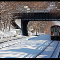 DSC_7723a.jpg