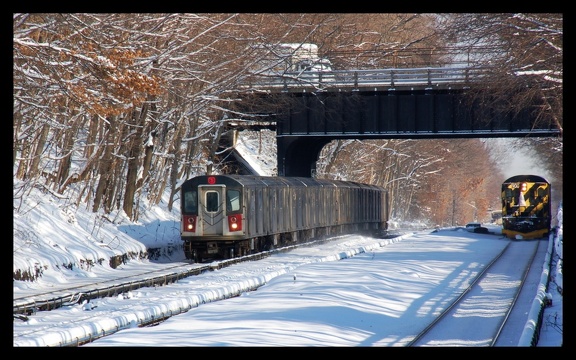 DSC_7887a.jpg
