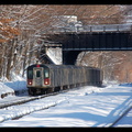 DSC_7887a.jpg