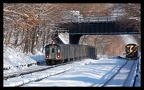 DSC_7887a.jpg