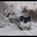 DSC_8081a.jpg