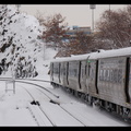 DSC_8128a.jpg