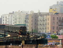 D7K_1424a.jpg
