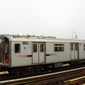 D7K_1544a.jpg