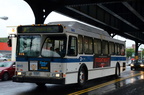 D7K_3536a.jpg