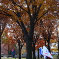 D7K_8253a.jpg