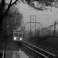 D7K_0685abw.jpg