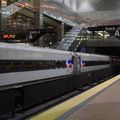 D7K_0717a.jpg