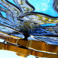 D7K_1530a.jpg