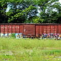 D7K_1582a.jpg