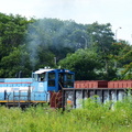 D7K_1596a.jpg