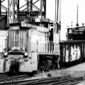 D7K_1652a.jpg