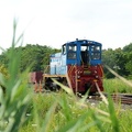 D7K_1674a.jpg