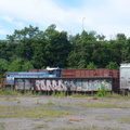 D7K_1712a.jpg