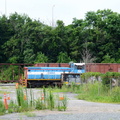 D7K_1717a.jpg