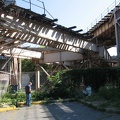 IMG_9732.jpg