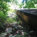IMG_9757.JPG