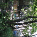 IMG_9758.JPG