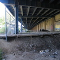 IMG_9769.JPG