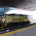 P1000030.jpg