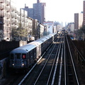 P1000080.jpg