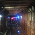 In the relay @ Utica Ave (MOD Trip).