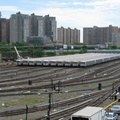 IMG_1002.jpg