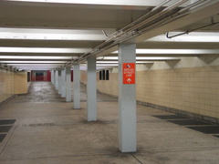 IMG_0349.JPG