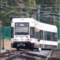 P1000494.jpg