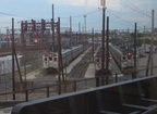 IMG_0498a.jpg
