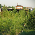 IMG_1951