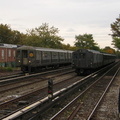 IMG_0937a.jpg