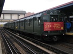 IMG_1013.jpg