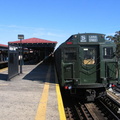 IMG 1353